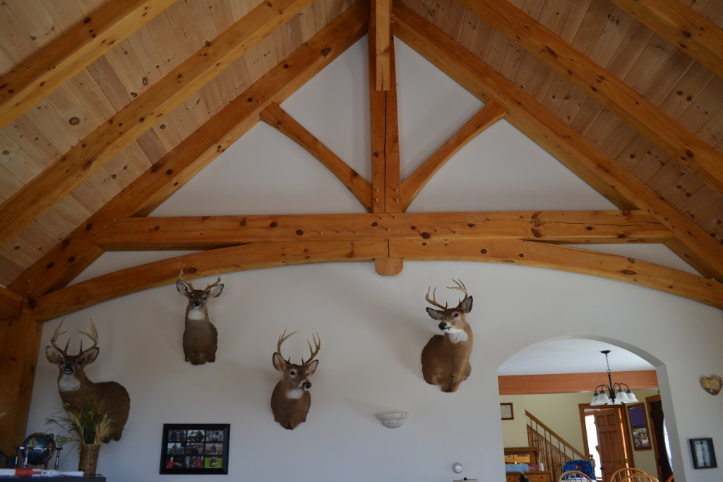 Interior frames with a pickling board finish in a living room with 4 taxidermy deer heads
