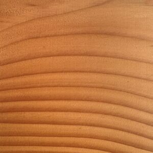 Douglas Fir end grain