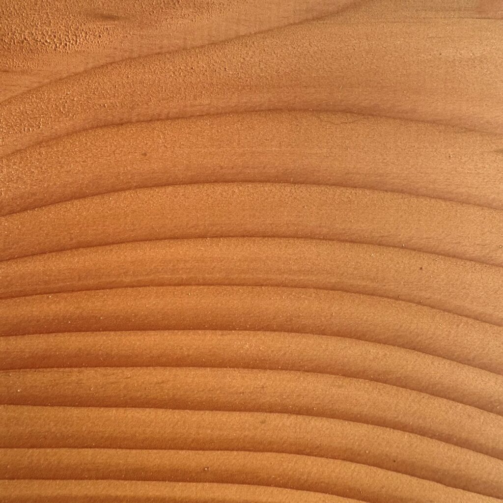 Douglas Fir end grain
