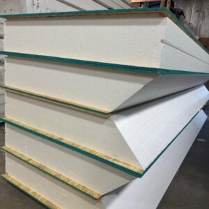 Expanded Polystyrene (EPS) Insulation