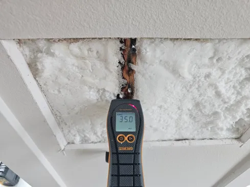 Moisture meter on a stud showing moisture content in the stud